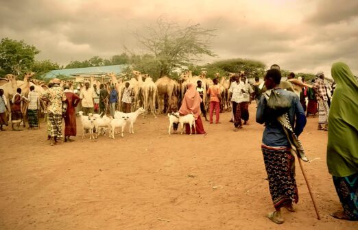 Dadaab Stories of Resilience