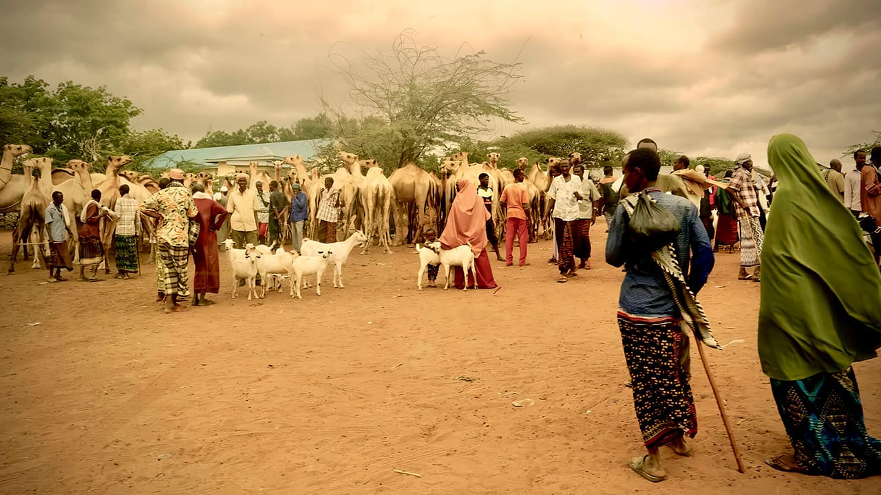 Dadaab Stories of Resilience