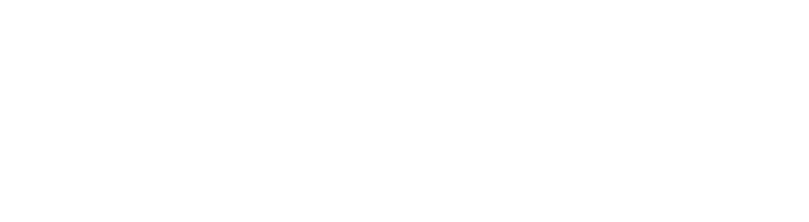 oefi plus